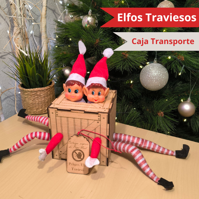 🧙‍♂️Pareja de 2 Elfos Atrapado Caja de Transporte🧙‍♂️